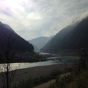 いのちの流れに棹をさす