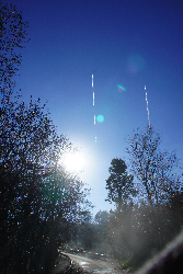 しあわせの判断を、ゆだねていませんか☆