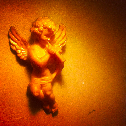 誰かの感情に悩まされていませんか☆