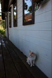 あなたの居場所☆