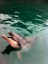 わたしはみているものを、理解してはいない　　　　　　　　　　〜思いこみを手放すレッスン3☆　