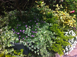 幸せなことに、感度をあわせよう☆