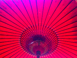 痛みの原因から自由になるために☆