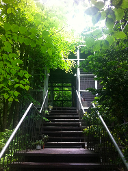 望む未来を期待しよう☆