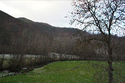 疲れる努力をしていませんか☆