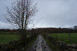 しあわせの条件は、ふしあわせの条件☆