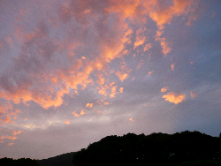 自分を変えることはできない☆