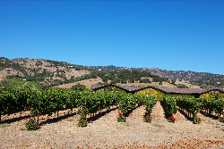 愚痴の掃除機になっていませんか☆