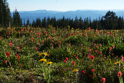 あとで、わかることもある☆