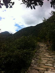 不満を手放して感謝に変えよう☆