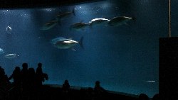 感情を味方につけよう☆