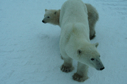 考えないで、感じよう☆
