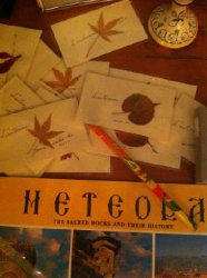 心は傷ついたりしない☆