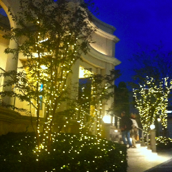 心の傷の癒し方☆