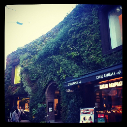 愚痴を我慢していませんか☆