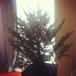 むくわれない愛に悩んでいませんか☆