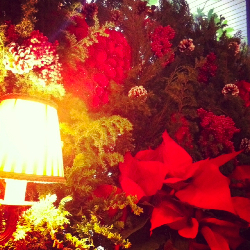 息をひきとる、という意味☆