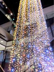 地球という、美しい夢の遊園地を楽しみましょう☆