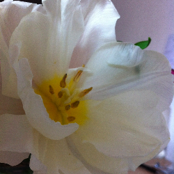 親はなくとも、子は育つ☆