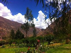 感情は、行動のエネルギー☆