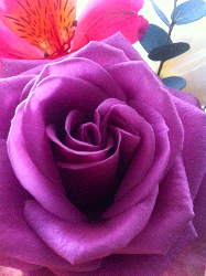 今を、感じきってみましょう☆