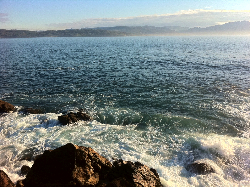 波にのってみましょう☆