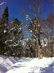 新しいモノサシを導入しよう☆