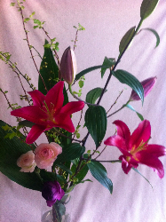 今日は一粒万倍日＋天赦日☆根っこをはりましょう