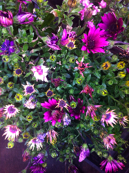 誰かの気持ちが気になるときには☆