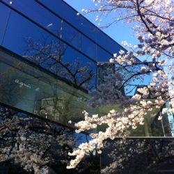 いつか叶えたい夢のために☆