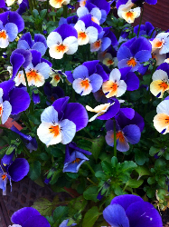 別れを恐れないでいよう☆