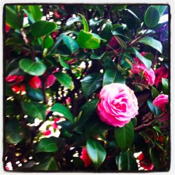 あの人を大切にするように、あなたを大切にしましょう☆