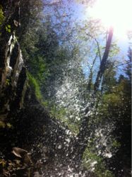 うまくいっていることに集中しましょう☆