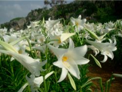 原因探しをやめて、あたらしい扉をひらきましょう☆