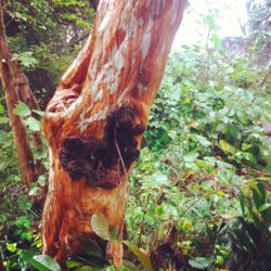 喜びの種をまきましょう☆