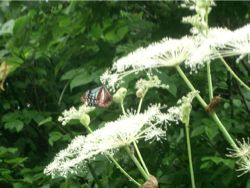 愛を求めているあなたへ☆〜与えるものは与えられる☆