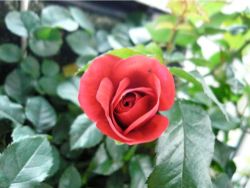 怒りの感情に悩まされているあなたへ２〜現実ではなく原因をみつめてみましょう☆