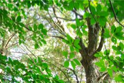 怒りの感情に悩まされているあなたへ３〜怒りの感情を利用する☆