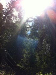 かわいそうな人なんていない☆