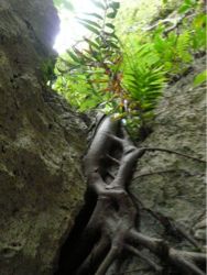 失恋を恐れないでいましょう☆