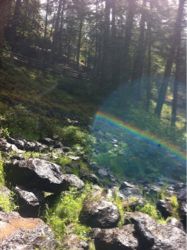 母を卒業する日☆