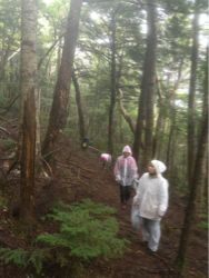 森のたから探しにいってきました☆