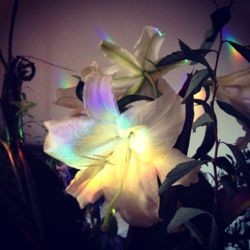 見まもる愛もある☆