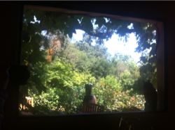 一瞬でカルマが消え去る魔法の考え☆