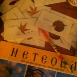 地球遊園地のキャストとして過ごしてみる☆