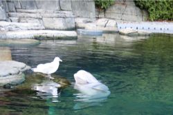 「もっとよくなりたい」と思っているあなたへ☆