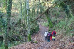 束縛されていると感じているあなたへ☆