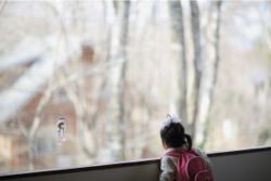 あなたは、生きている☆