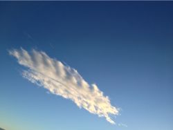 自分の人生に責任をもつには☆