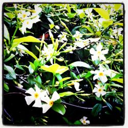 人のためが報われない理由☆